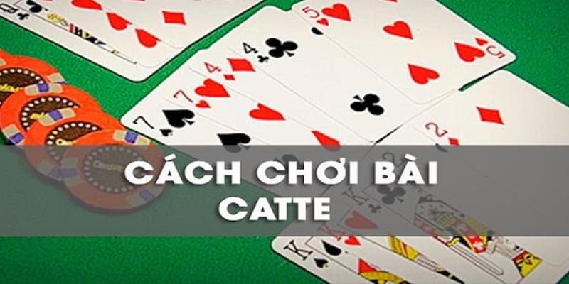 Cách chơi bài catte chi tiết